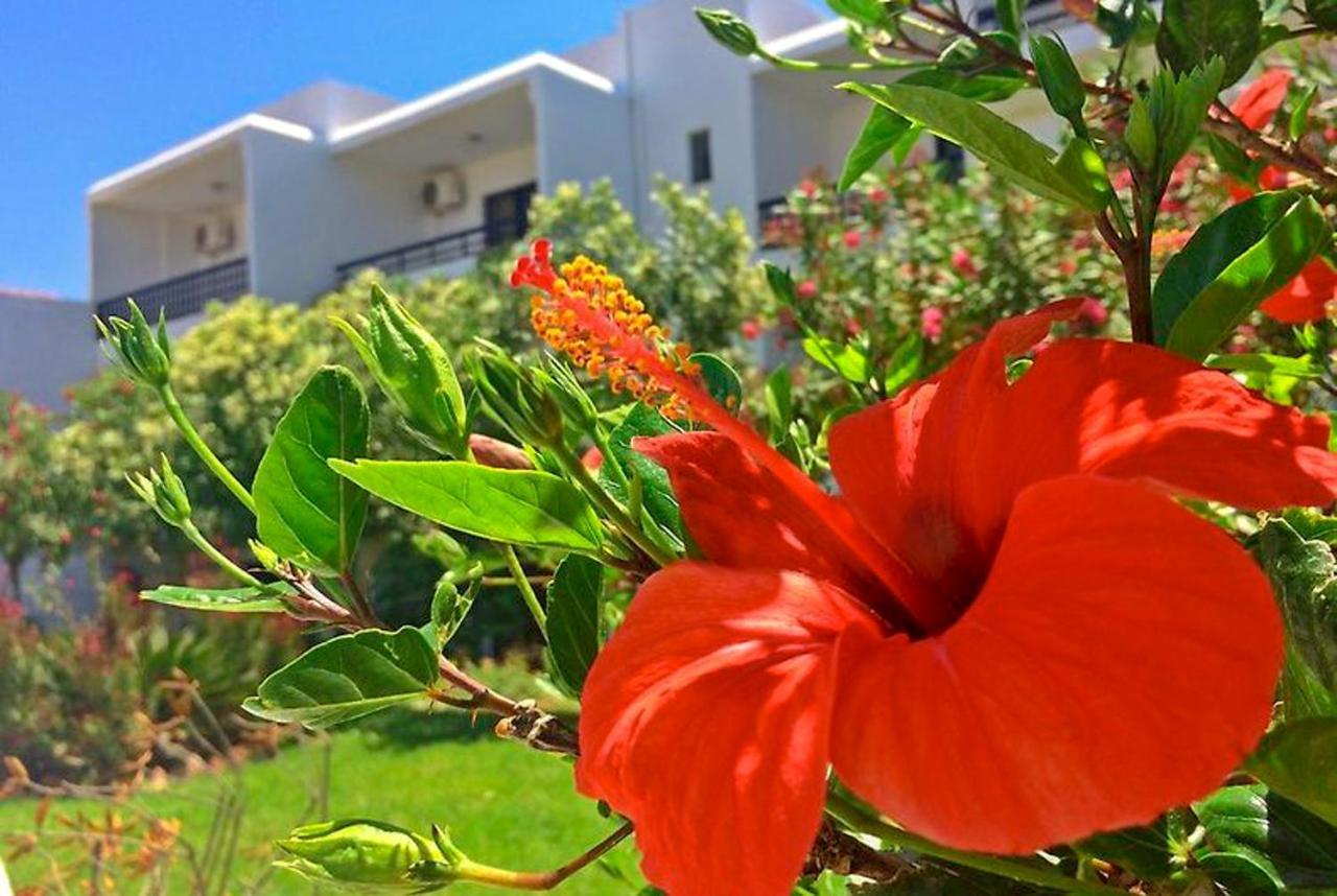 Debbi Appartments And Hotel Ialysos  Bagian luar foto